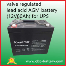 Valve Regulated Lead Acid AGM Battery (12V80Ah) for UPS, Telecom, Electrical Utilities
